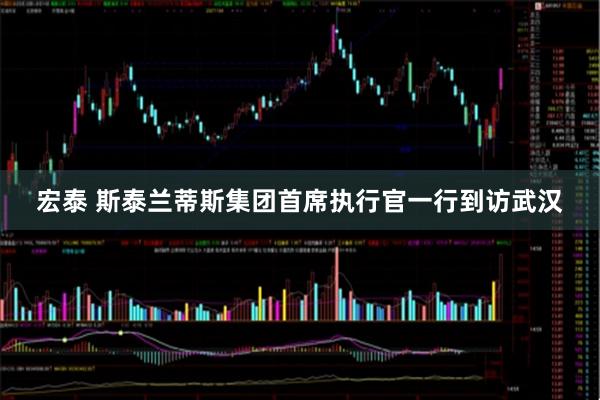 宏泰 斯泰兰蒂斯集团首席执行官一行到访武汉
