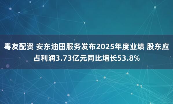 粤友配资 安东油田服务发布2025年度业绩 股东应占利润3.73亿元同比增长53.8%