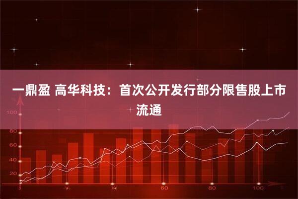 一鼎盈 高华科技：首次公开发行部分限售股上市流通